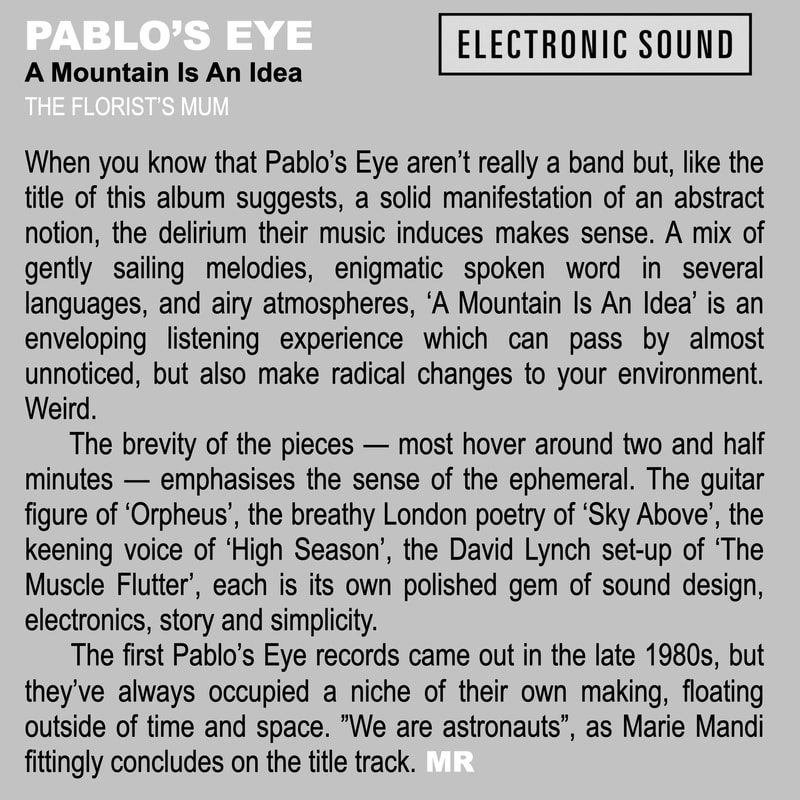 Electronic Sound issue 87 -  Review-PE 